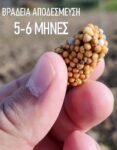 agroblen Tablet 14-21-5 λίπασμα σε ταμπλέτα